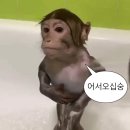 수정어름집 | Know ‘bout me