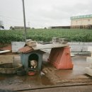 운남주유소 이미지