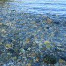 대구은행 황제지점 앞 이미지