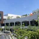 멋쟁이사 이미지