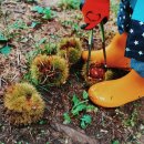 큰뜰농장 이미지