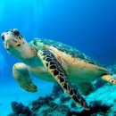 바다수산회 이미지