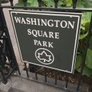 워싱턴 스퀘어(Washington Square) 이미지