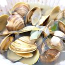 맛있는오칠구 이미지