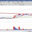 피앤이 바이오 이미지