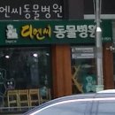 디엔씨동물병원 이미지