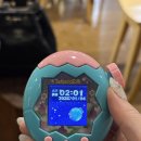 오빠통닭(상무점) | 260104 ~260118 퇴사하기 힘들다ㅋ(성수 페레힐, 도우룸 광화문, TWG, 만약에 우리는, 집집)