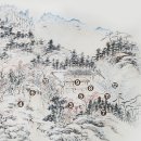 완도22호 이미지