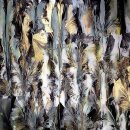 아인바스 이미지