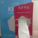 kf94 새부리형 3D 마스크 소형중형대형 판매해요 이미지