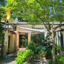 카페쿠시 | 에어바운스+계곡+커피까지 완벽한 하루, 청도 카페쿠시 (3번 후기)