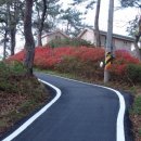 숲속민박 이미지