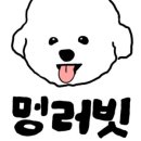 멍애견카페 이미지