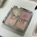 백스테이지 | 디올 백스테이지 하이라이터 004 로즈골드 | 디올 백스테이지 글로우 페이스 팔레트 후기