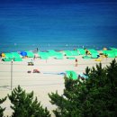 옥계해수욕장(숲) 이미지