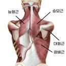 반여2동-5 이미지