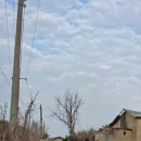 동민농장 이미지