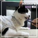 묘봉지 | 기호성 좋은 고양이 츄르 영양제 | bukdakbo 님 묘진단 후기