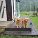 제주542펜션 이미지