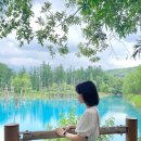 이제이투어(주) | 삿포로여행 비에이 버스투어 + 마이리얼트립 인디고트래블 후기