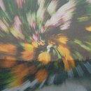 영양 서울치과의원 이미지