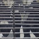 범일동산림공원 이미지