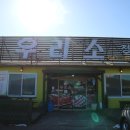우리소정육
