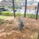 금동어린이공원 이미지