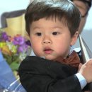 오베스트 이미지