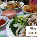 금안농장 네이버블로그