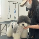 청주프로펫평생교육원