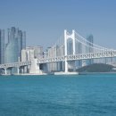 어린이대공원 제11호 이미지