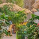 (원데이) 그린 플랜트 이미지