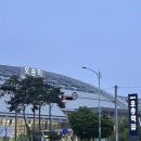 2025 서울자전거대행진 후기 [이건 걷기대행진인가,,,,?] + 잠수교 뚜벅뚜벅축제 안내