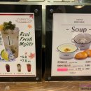 까르치아 이미지