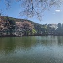 경춘매점 이미지