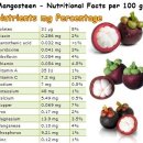 태국과일-망고스틴 재배지역및 영양성분 이미지