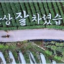 자연담은 들녘 자연양계장 | "계란 달걀 3개월분 카드 결제하고 왔습니다"… 전라도 밥상 연천 양계장 오늘N 한상 잘 차렸습니다