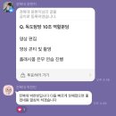 독도PC방 | [독도 탐방 1일차] 독도에 가게된 스토리 - 나라사랑 독도사랑 국토탐방단