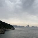 일양반점 | 좋은 루테인 제품 고르는 방법은?