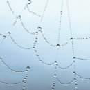 휴대폰으로 찍는 예술 사진 이미지