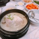 닭올닭 이미지