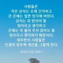 쇼펜하우어의 냉철한 인생 조언 이미지