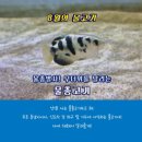 [무료교육] 솜씨쟁이 할머니 | [단양 가볼만한곳] 국내 최대 민물고기 수족관, 다누리 아쿠아리움 생생 후기 할인정보