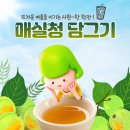 바른나무유치원