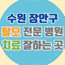 수원 장안구 탈모 전문 병원 두피 탈모관리 잘하는 곳 추천 List