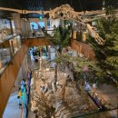 양산동굴공룡박물관 | 아이와 함께한 안면도쥬라기박물관｜진짜 화석 만지는 공룡체험!