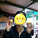 지리산천왕봉의집 이미지