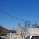 꼭지내농장 이미지