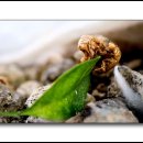 정환농장 이미지